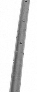 3/4" x 30" Round Steel Stake